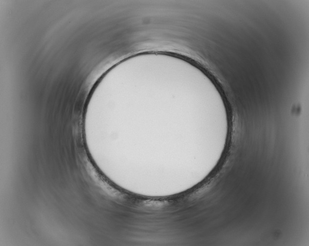 X0000111921513200908241038