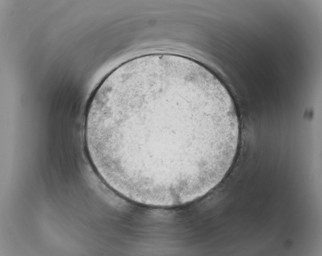 X0000111921514200908241038