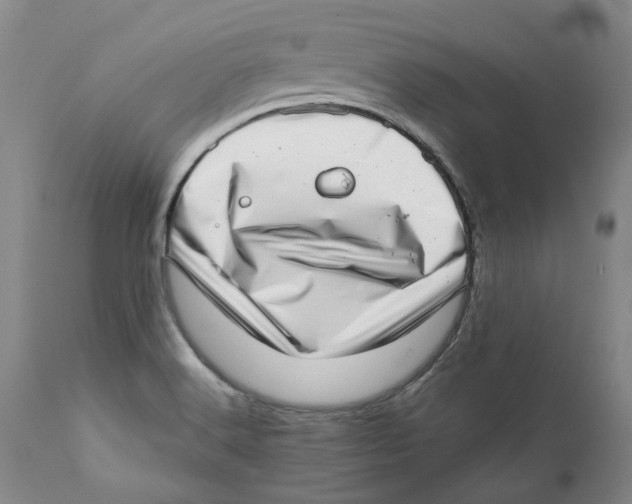 X0000111921516200908241038