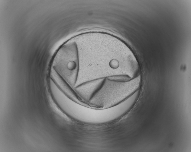 X0000111921518200908241038