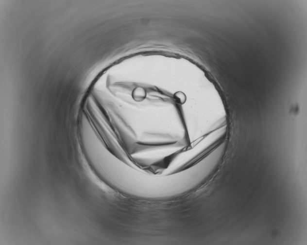 X0000111921519200908241038