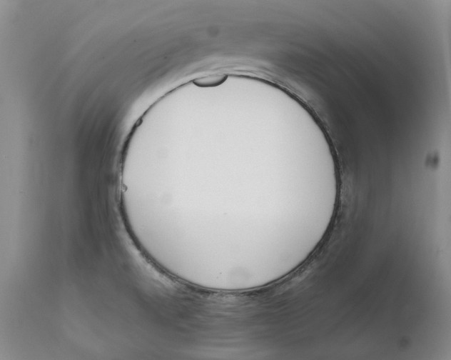 X0000111921520200908241038