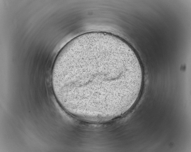 X0000111921521200908241038