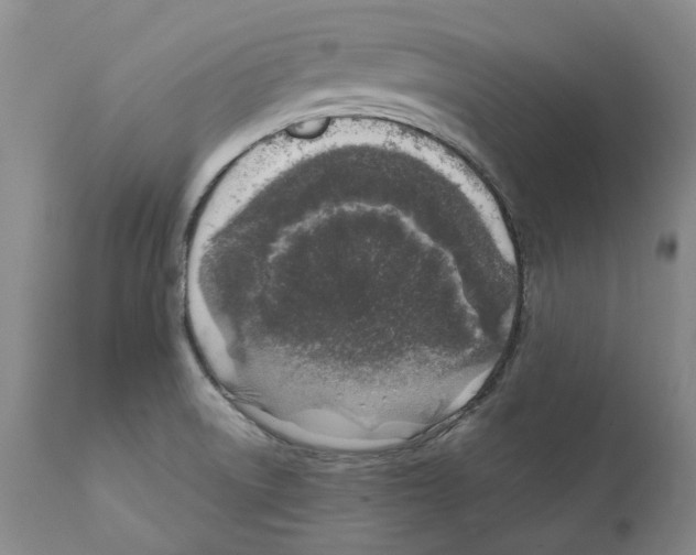 X0000111921522200908241038