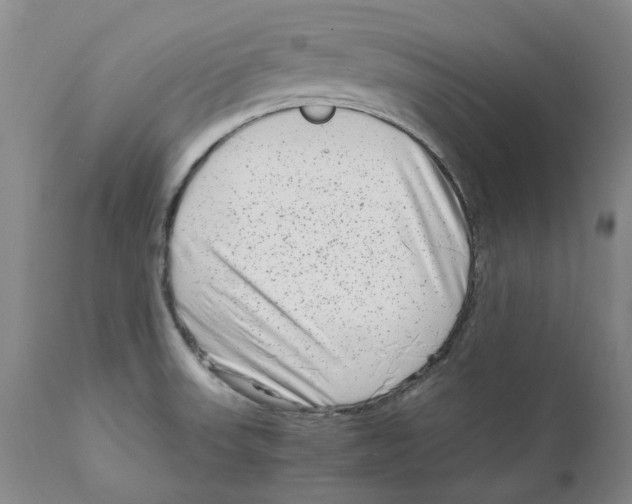 X0000111921523200908241038