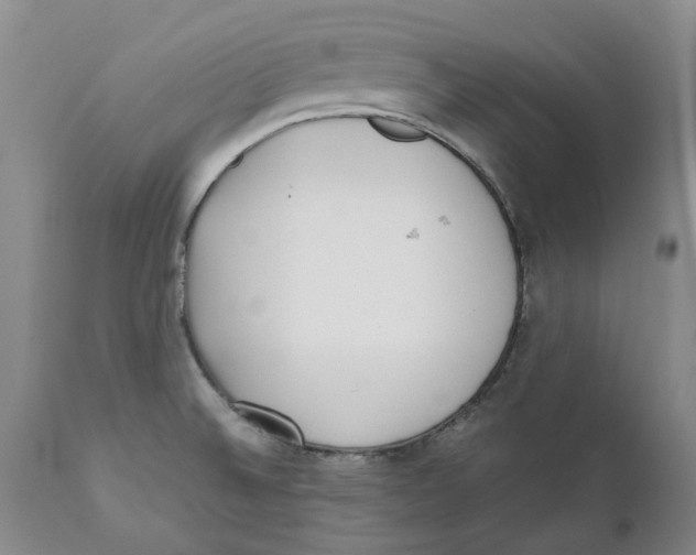 X0000111921524200908241038