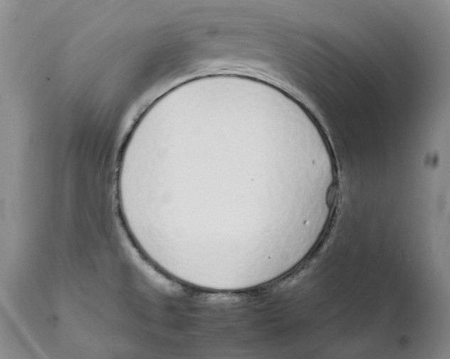 X0000111921525200908241038