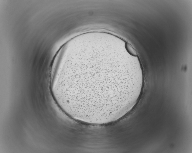 X0000111921526200908241038