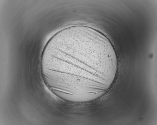 X0000111921527200908241038