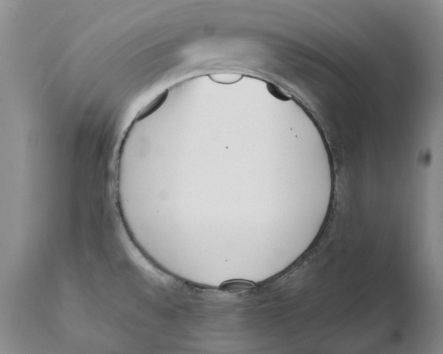 X0000111921528200908241038