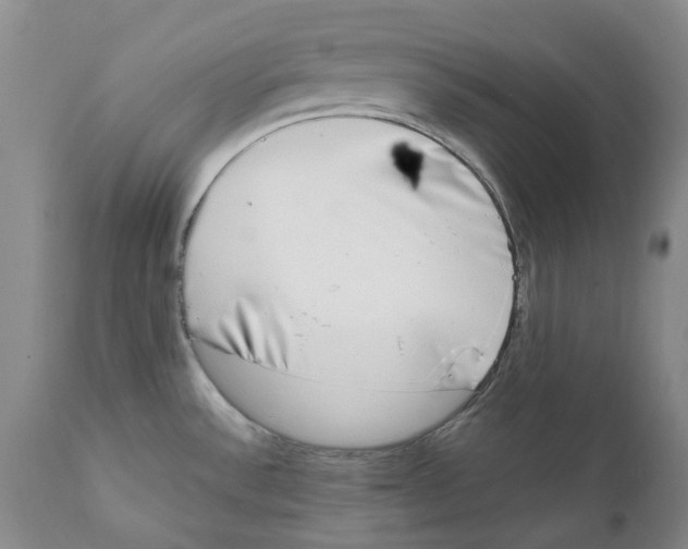 X0000111921532200908241038