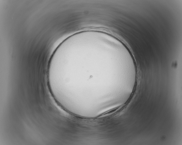 X0000111921533200908241038