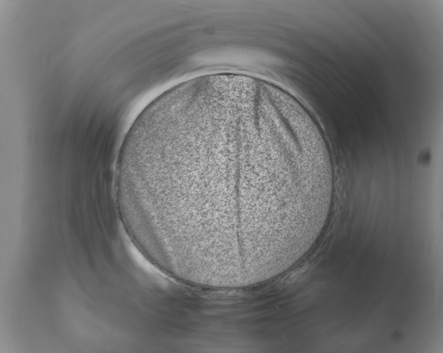 X0000111921535200908241038