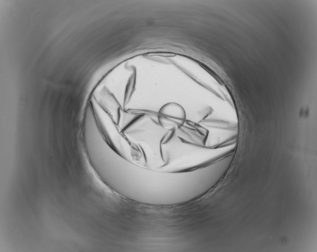 X0000111921536200908241038