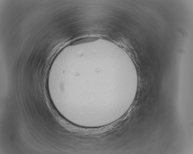 X0000111920001200909071227