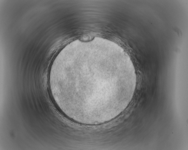 X0000111920002200909071227