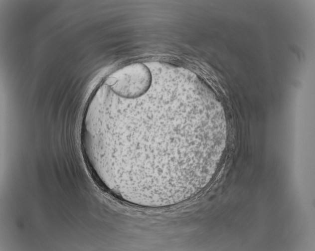 X0000111920003200909071227