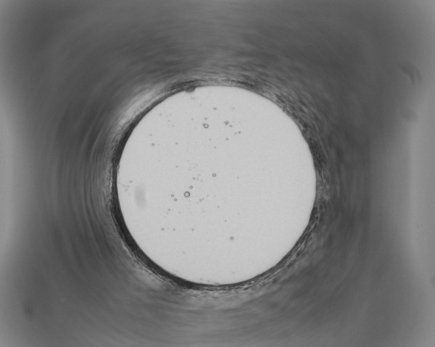 X0000111920005200909071227