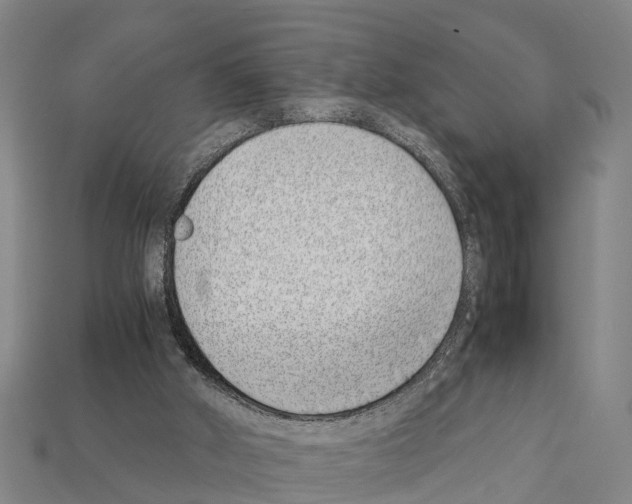 X0000111920010200909071227