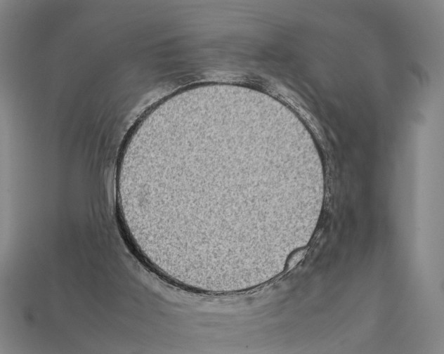 X0000111920011200909071227