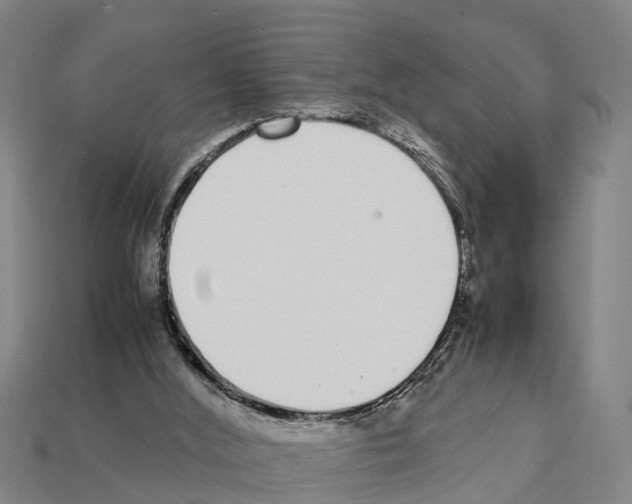 X0000111920012200909071227