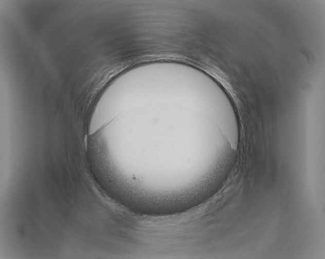 X0000111920013200909071227