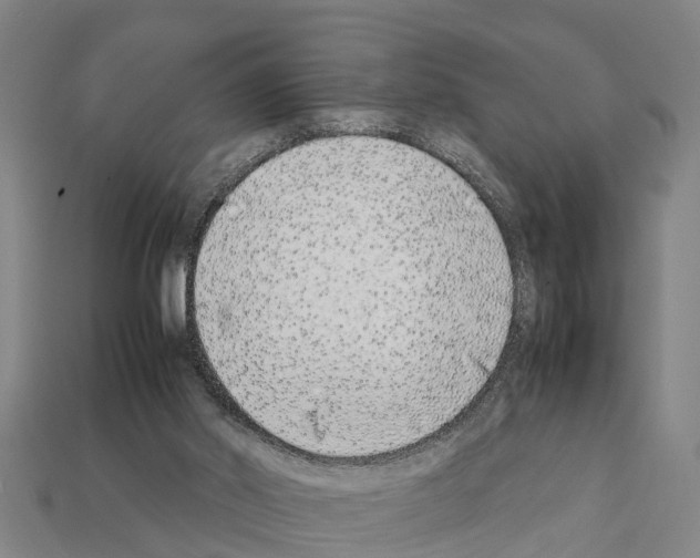 X0000111920014200909071227