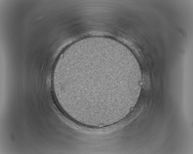 X0000111920015200909071227