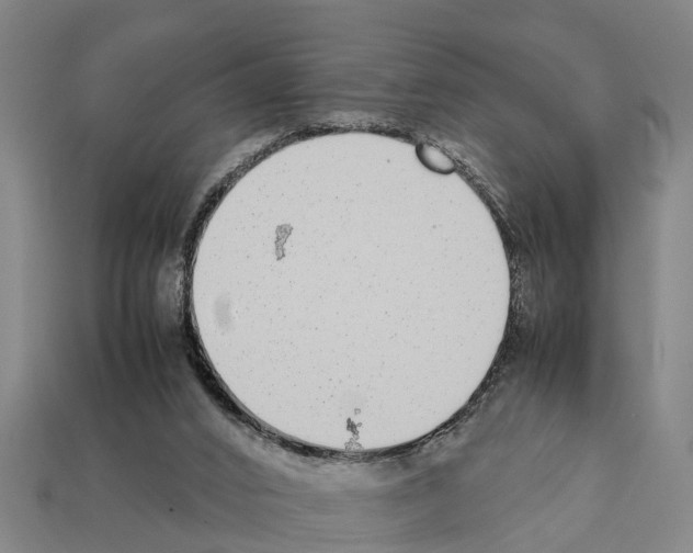 X0000111920016200909071227