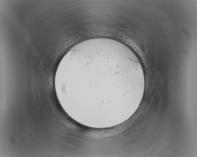 X0000111920017200909071227