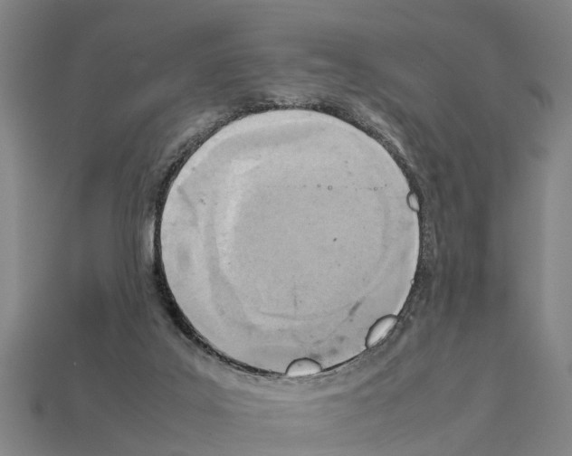 X0000111920019200909071227