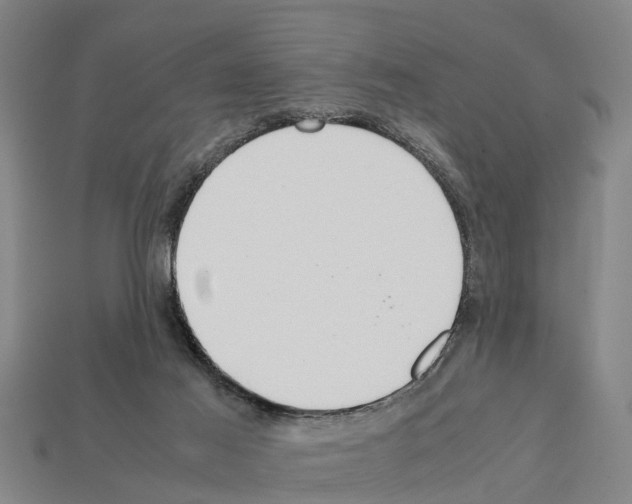 X0000111920021200909071227