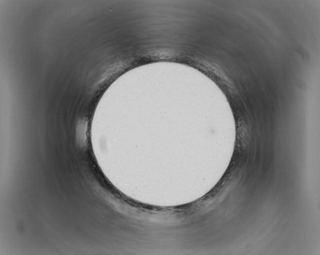 X0000111920024200909071227