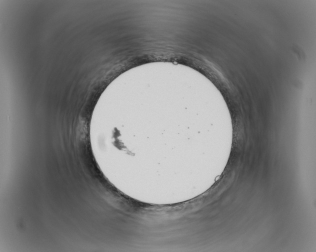 X0000111920025200909071227