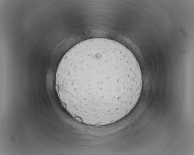 X0000111920026200909071227