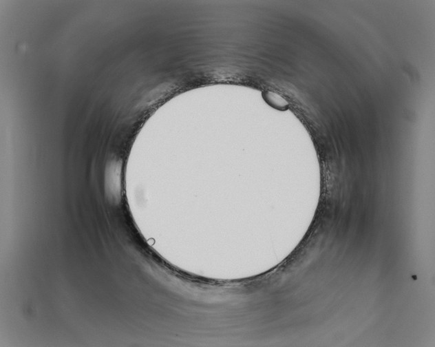 X0000111920028200909071227