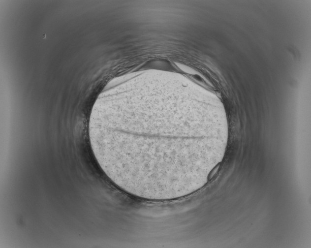 X0000111920029200909071226