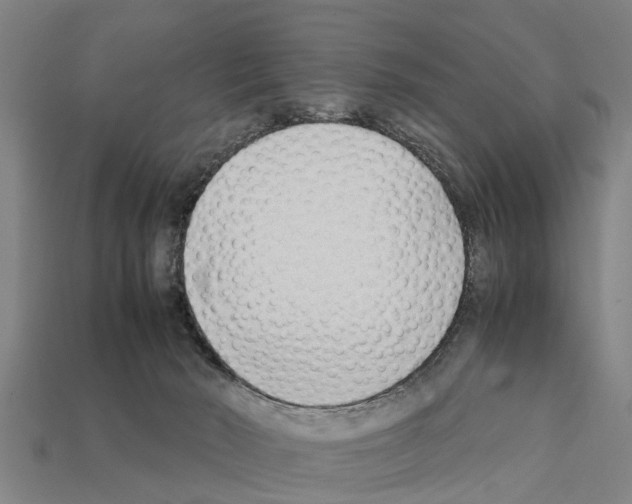 X0000111920030200909071226