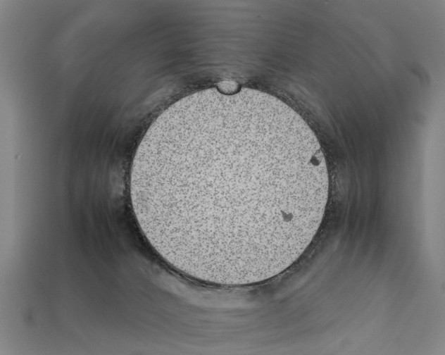 X0000111920032200909071226