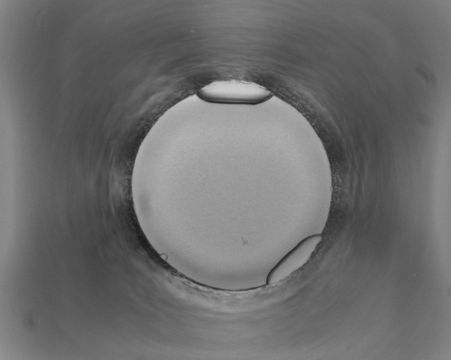 X0000111920035200909071226