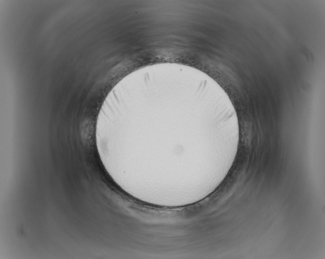 X0000111920036200909071226