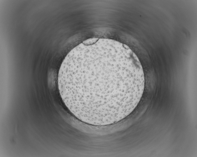 X0000111920038200909071226