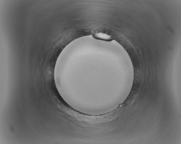 X0000111920039200909071226