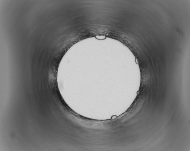 X0000111920040200909071226