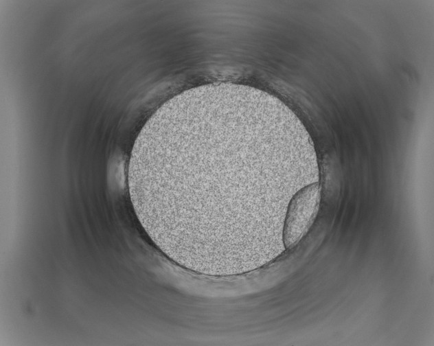 X0000111920042200909071226