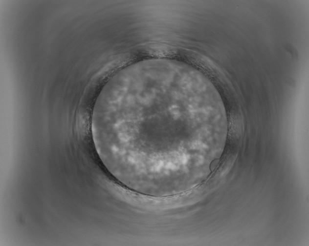 X0000111920043200909071226