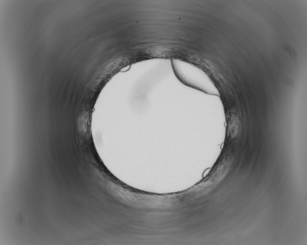 X0000111920044200909071226