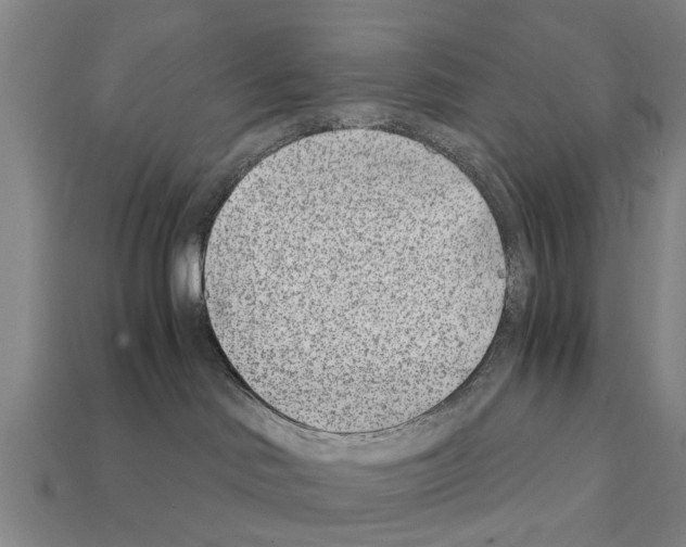 X0000111920046200909071226