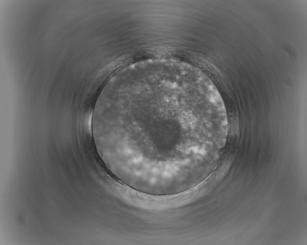 X0000111920047200909071226