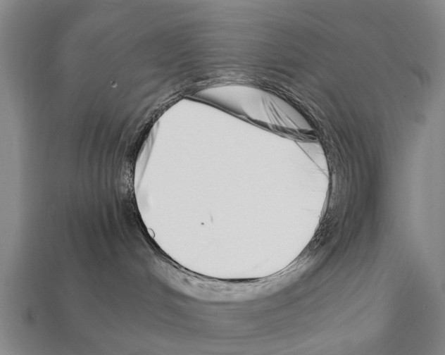 X0000111920048200909071226